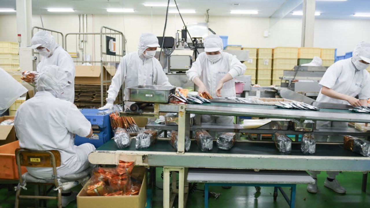 Factory Worker Jobs in Japan: A Guide to Opportunities in 2025