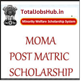 post matric moma scholarship