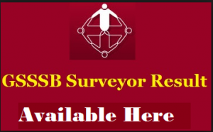 GSSSB Surveyor Result