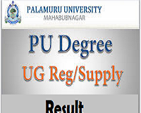 palamuru university degree results