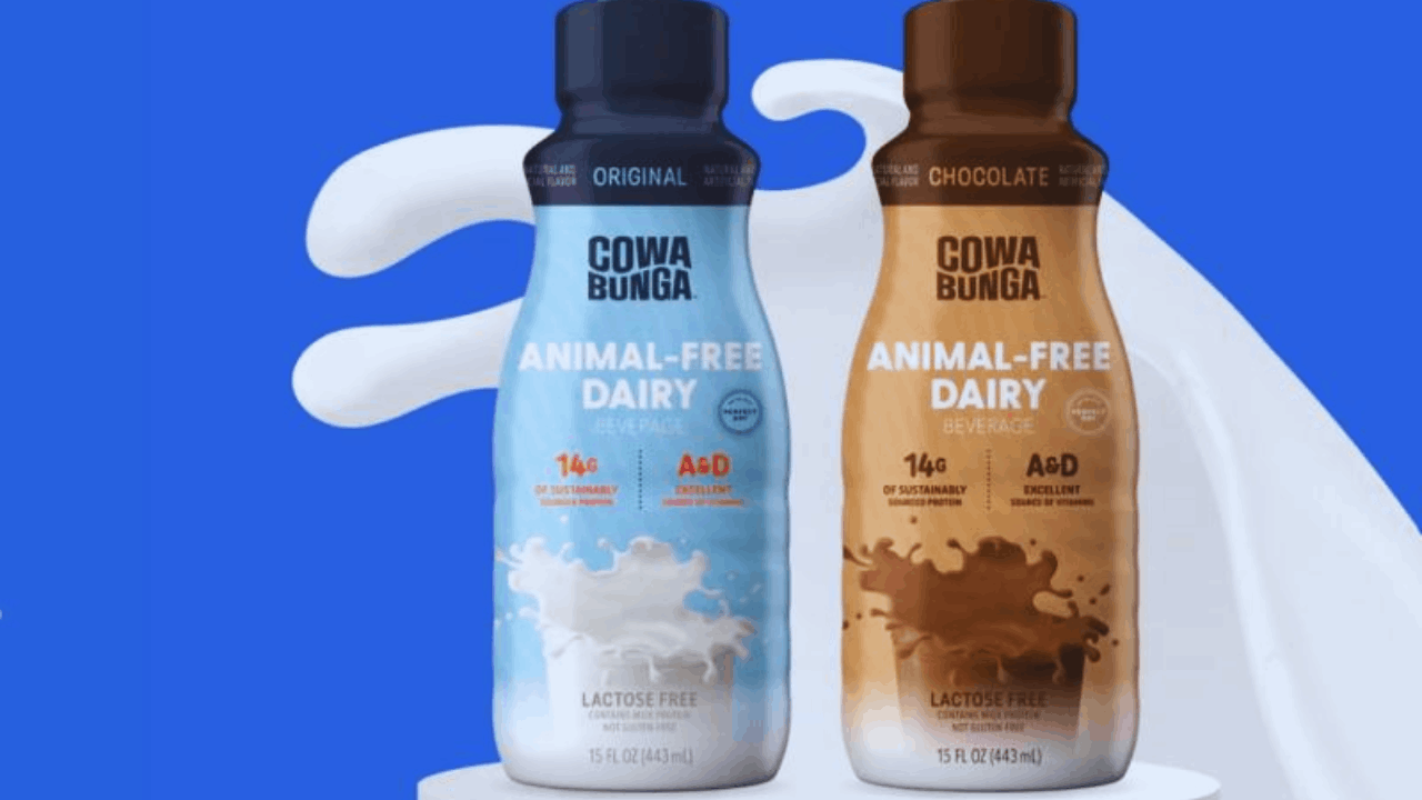 How to Get Free Samples of Your Favorite Nestlé Products