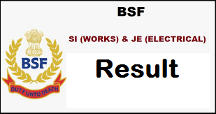 bsf si works result