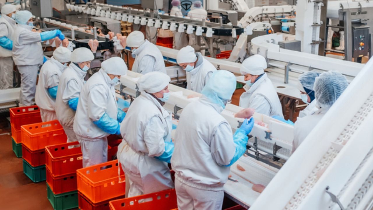 Factory Worker Jobs in Japan: A Guide to Opportunities in 2025